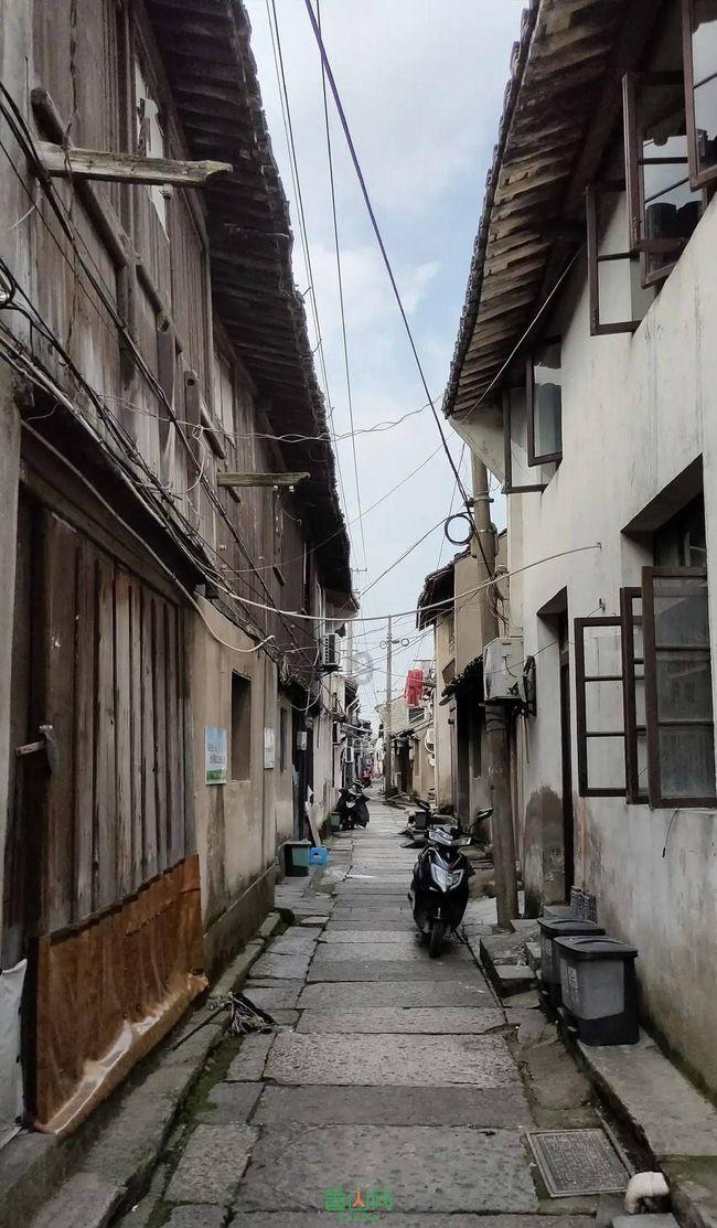 瑞德的冒险之旅中文版